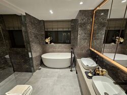 Pine Grove (D21), Condominium #479851721
